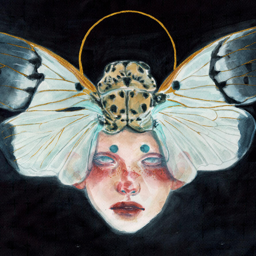 Ghost Cicada