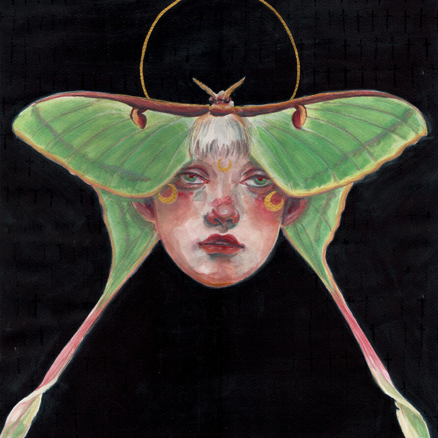 Luna Moth